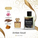 Amber Aoud